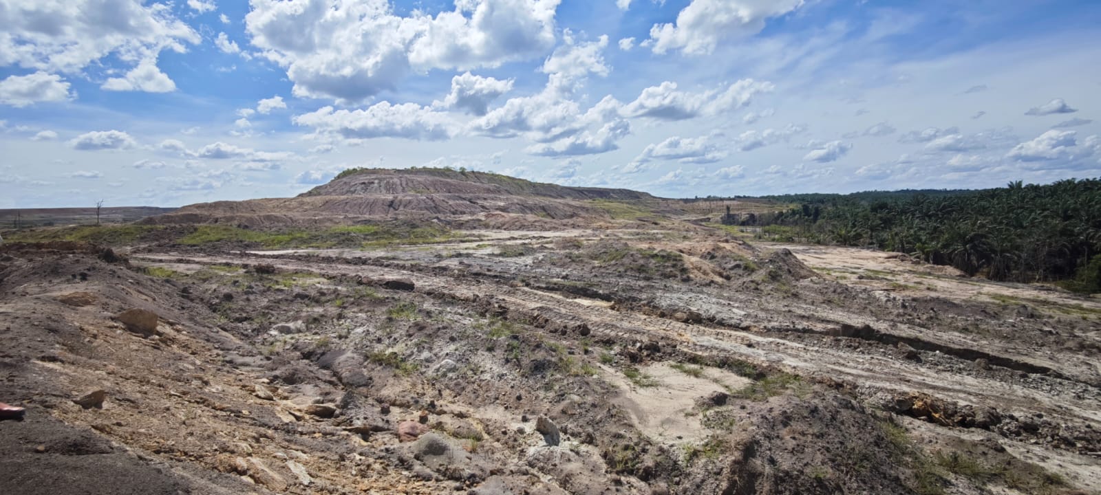 Uploaded image: WhatsApp Image 2026-04-29 at 13.04.27 (1).jpeg