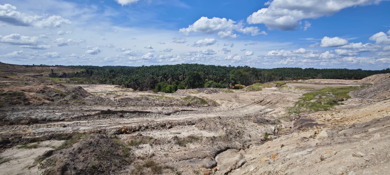 Uploaded image: WhatsApp Image 2026-04-29 at 13.04.27.jpeg